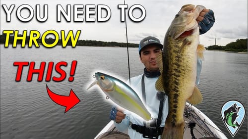 My Favorite Offshore Bait In the Early Fall | Offshore Wake Bait