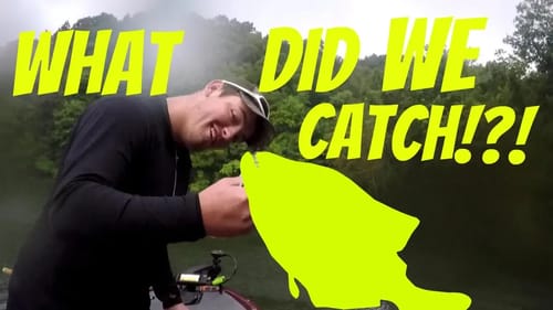What Did We Catch!?! The Summer Fishing Grind