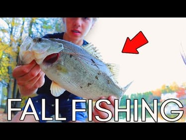 BASS Fishing PRIVATE POND For INSANE FALL FISH! (Bank Fishing)