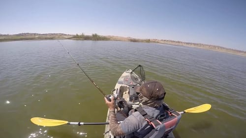 Bass fishing with Squarebill Crankbaits