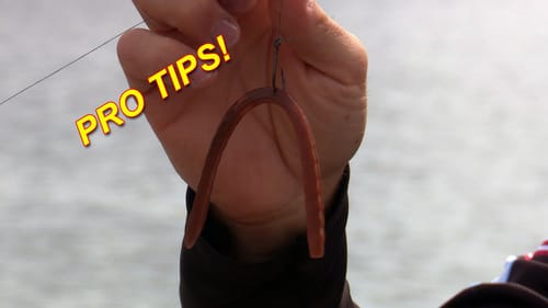Spring Wacky Rig Worm (Catch 10x MORE Bass!) | Bass Fishing