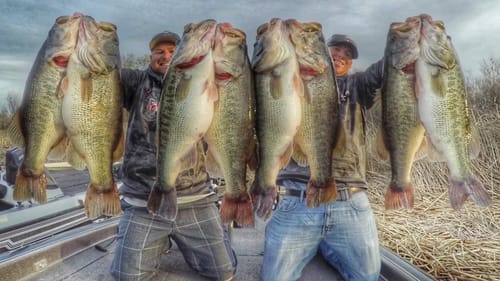 New Years Goals: Teener Largemouth, world record spotted bass, and more!