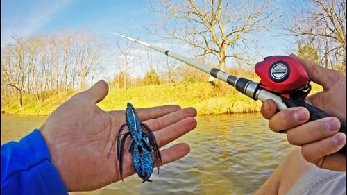 BIG BASS Were MUNCHING! Fishing A Secret Pond With Dad!