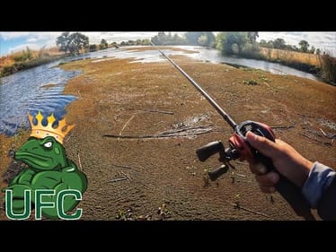 I wish I was making this up…(Frog tournament Finale)