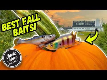 The Best Late Fall Bass Fishing Lures You Need To Try!