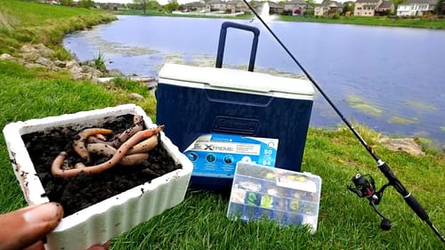 URBAN Pond Micro Fishing! Catching 10 NEW PETS!!!