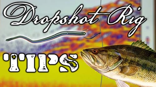 Dropshot Rig Bass Fishing Tips