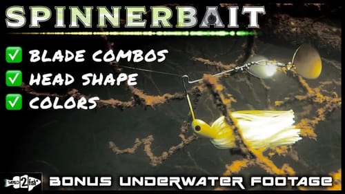6 Options to Pick the Right SPINNERBAIT for Bass Fishing