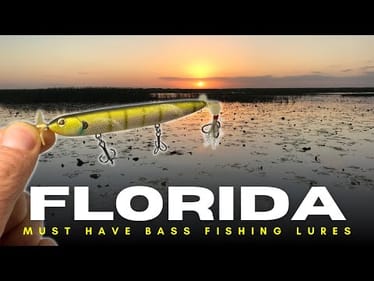 These Are Must Have Florida Bass Fishing Lures! 