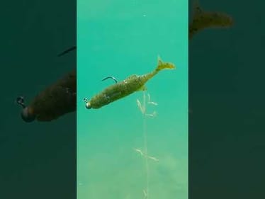 Savage Gear Ned Minnow Underwater