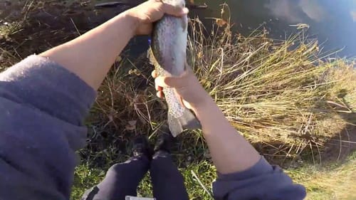Woodward Park Winter Trout Fishing