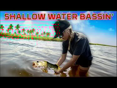 Big Bass in SHALLOW Water!! - Lake Okeechobee