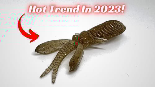 This Was One Of The Hottest Trends In Bass Fishing This Year!