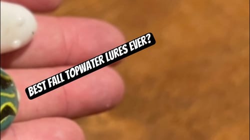 The 2 Best Fall Topwater Lures Your Friends Are Not Fishing
