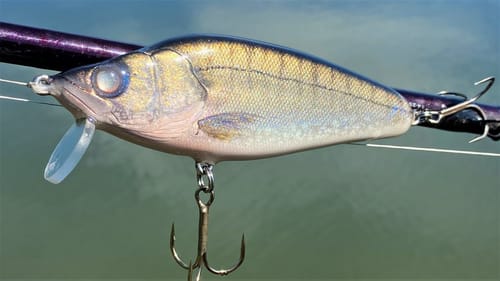 Making a Walleye CrankBait