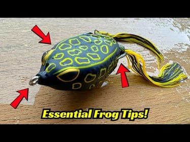 3 Essential Hollow Belly Frog Tips To Catch More Bass!