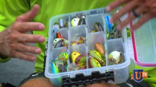 Wooden Crankbaits VS Plastic Crankbaits: Tips for Bass Fishing