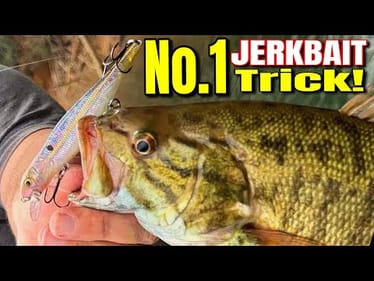 The 1 Trick You Need to Catch Bass FAST in Fall