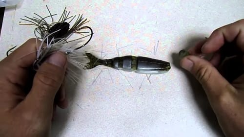 The ChatterSwim - Catching Big Bass Everywhere it Goes