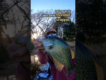 Catching Monster Crappie During the Spawn Season #fishing #crappie