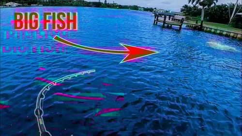INSANE BLOW UP! Topwater Saves the Day Post Cold Front