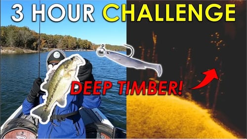 Swimbaits in 40ft Trees For Suspended Fall Bass! | 3 Hour Challenge