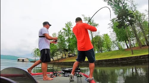 SIGHT FISHING with JUSTIN LUCAS on LAKE GUNTERSVILLE! (Bed Fishing Tips)
