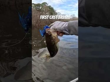 You Gotta Love a 1st Cast Bass!!! #bassfishing