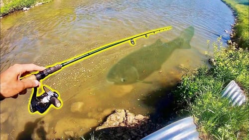 CREEK FISHING for MONSTERS!! (Right under me)