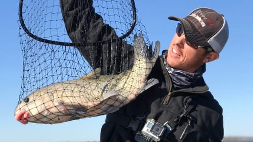 Strange Sucker Fish Catch while Lure Fishing