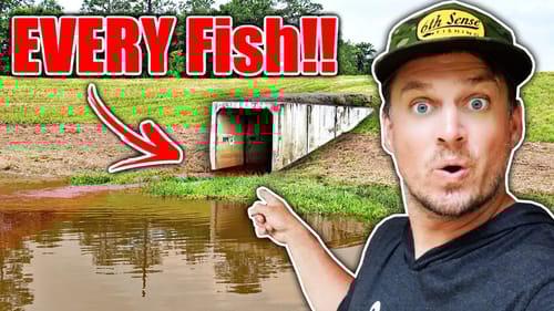 Texas Floods Draw EVERY FISH to Heavy Current Spillways! (INSANE)