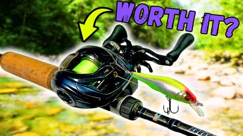 Is BFS Worth it OR Just A BIG FISHING SCAM? (Bait Finesse)