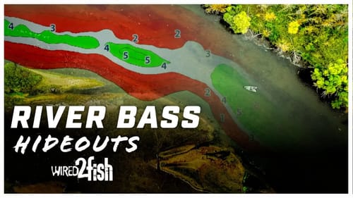4 Essential Tips For Finding Bass In the River