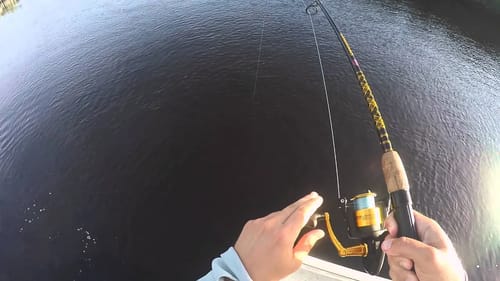 Jack crevalles exploding topwater lure