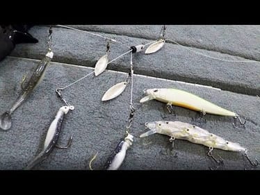 Cold Water Bass - TIP #1 Reaction Baits (Winter Fishing)