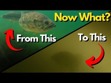 Look for THIS to EXCEL When Fishing Dirty Water (2 Perfect Situations)