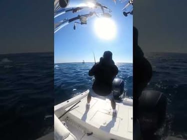Casting Topwater at Bluefin Tuna