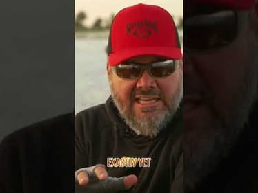 Greg Hackneys Confidence Baits!