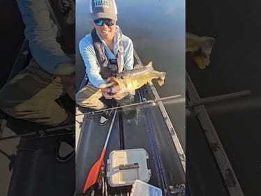 9.75" Swimbait Eating Bass
