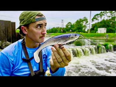 I Fished Florida Spillways for a Week With Only Giant Swimbaits