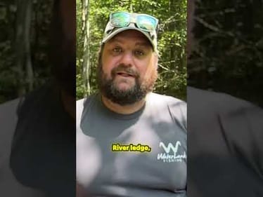 Unlock Your Bass Fishing Potential: Avoid These Shaky Head Mistakes!
