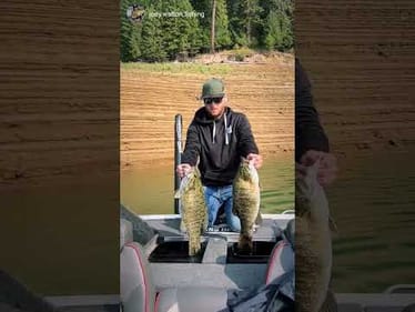 14lbs of Smallmouth