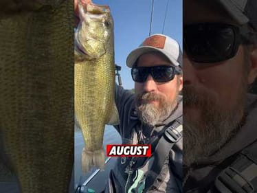 AUGUST Lures That Are Slaying It 💀