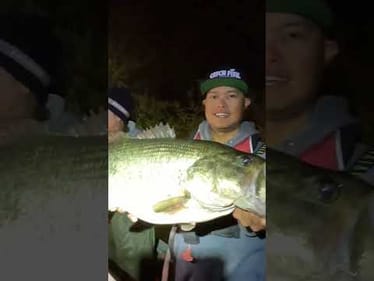 Went Electro Fishing!  Only 1 Around 8lbs.  300 other small to medium bass.