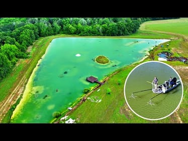 ElectroFishing the 5 Acre Pond! (New Record Bass)