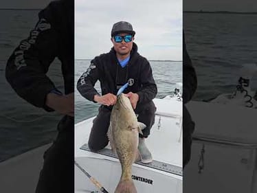Funny Looking Bass
