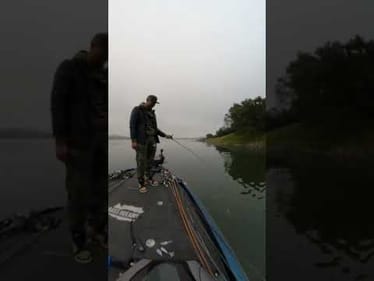 Crawdad Colored Topwaters Next?