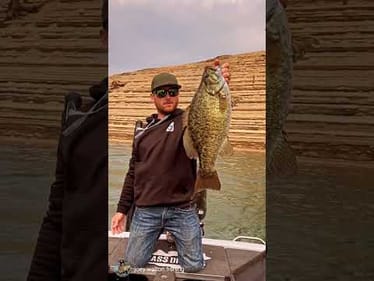 Big Smallmouth Dreams