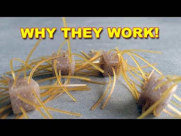 The Best Dice Bait Tips: How To | Bass Fishing