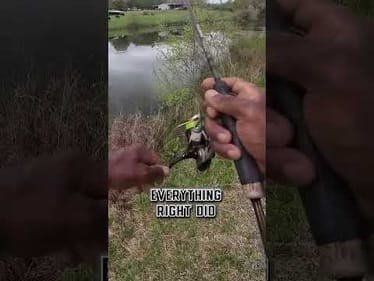 How to catch spawning bluegill